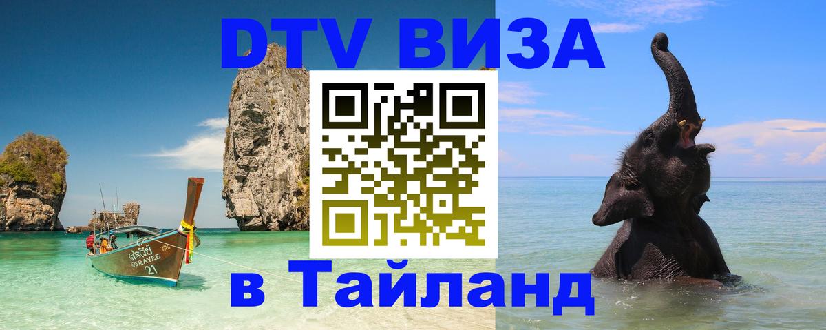 Оформление DTV визы под ключ: стоимость и тарифы, только загранпаспорт - 
